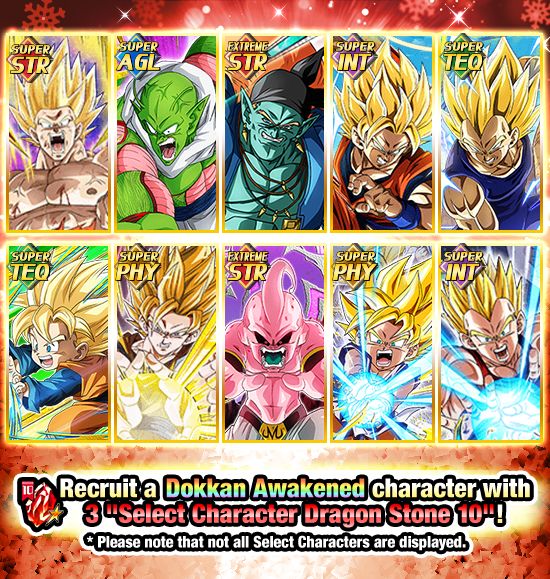 Banner for Select Characters Dokkan Festival!