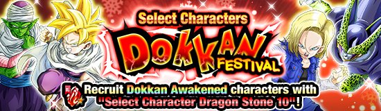 Select Characters Dokkan Festival!