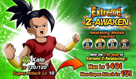 Banner for The 59th World Tournament Opens!