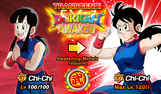 Banner for The 61st World Tournament Opens!