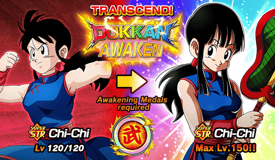 Banner for The 61st World Tournament Opens!