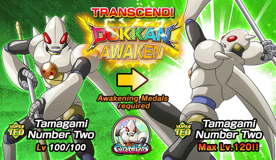 Banner for The Invincible Guardians!