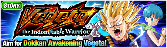 Vegeta the Indomitable Warrior!