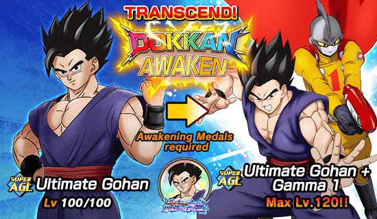 Banner for "Dual Dokkan Festival" Is Now On!