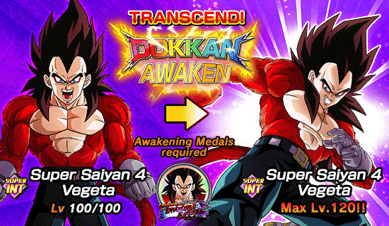 Banner for Dokkan Festival x 
Legendary Summon Carnival!