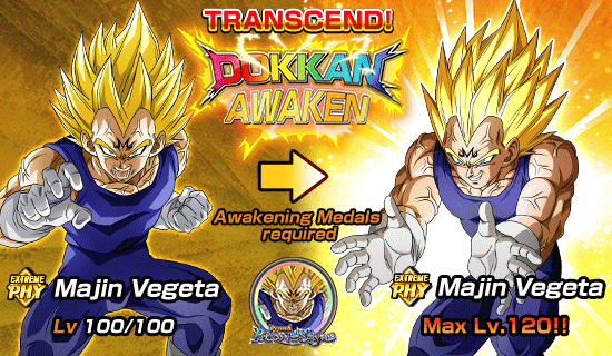Banner for Dokkan Festival Is Now On!