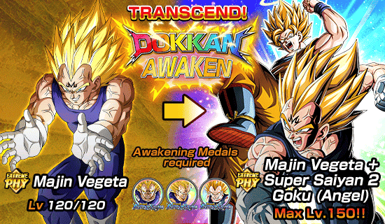 Banner for Dokkan Festival Is Now On!