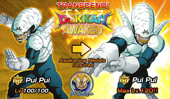 Banner for Dokkan Festival Is Now On!