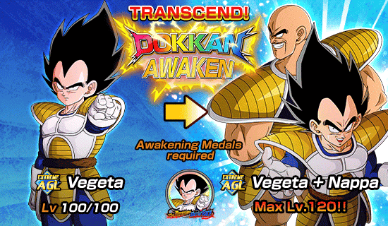 Banner for Dokkan Festival Is Now On!