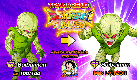 Banner for Dokkan Festival Is Now On!