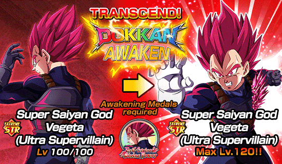 Banner for Dokkan Festival Is Now On!