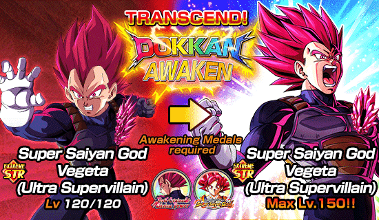 Banner for Dokkan Festival Is Now On!