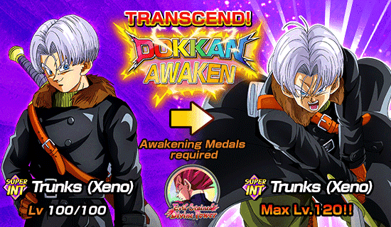 Banner for Dokkan Festival Is Now On!