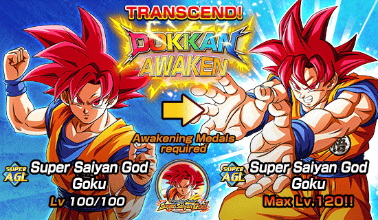 Banner for "Dual Dokkan Festival" Is Now On!
