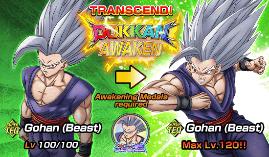Banner for Dokkan Festival Is Now On!