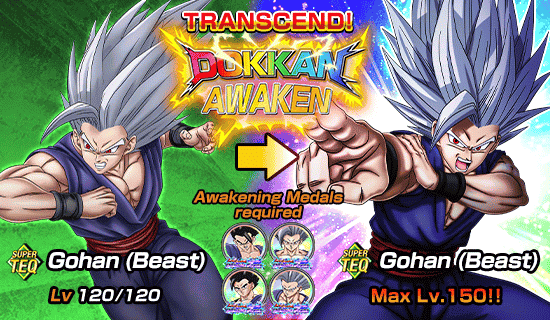 Banner for Dokkan Festival Is Now On!
