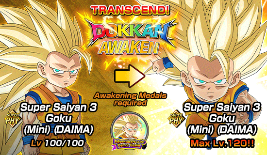 Banner for Dokkan Festival Is Now On!