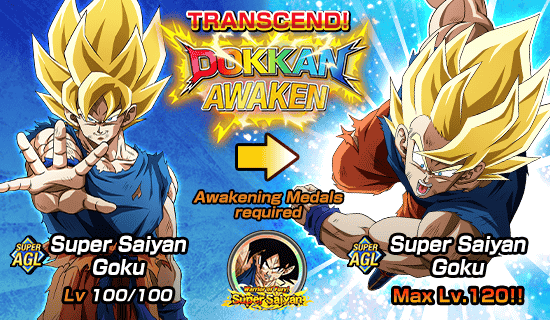 Banner for Dokkan Festival x 
Legendary Summon Carnival!
