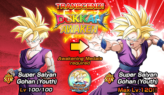 Banner for Dokkan Festival x 
Legendary Summon Carnival!
