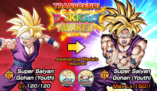 Banner for Dokkan Festival x 
Legendary Summon Carnival!