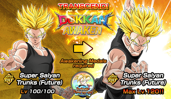 Banner for Dokkan Festival x 
Legendary Summon Carnival!