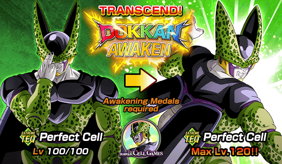Banner for Dokkan Festival x 
Legendary Summon Carnival!