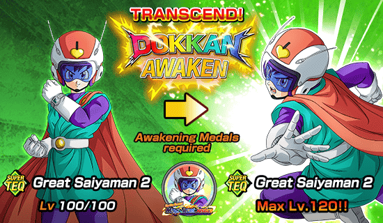 Banner for Dokkan Festival Is Now On!