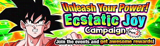Unleash Your Power! 
Ecstatic Joy Campaign!