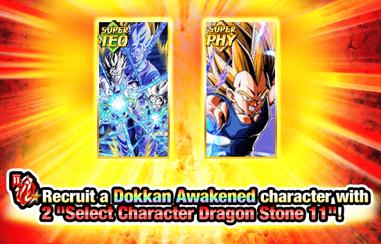 Banner for 11th Anniversary!
Select Characters Dokkan Festival!