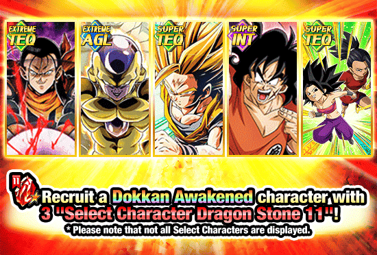 Banner for 11th Anniversary!
Select Characters Dokkan Festival!