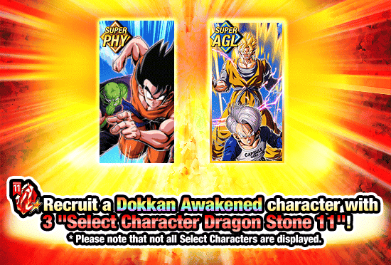 Banner for Global Campaign!
Select Characters Dokkan Festival!