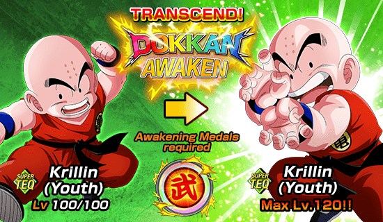 Banner for The 63rd World Tournament Opens!