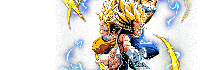 Super Saiyan 3 Goku & Super Saiyan 2 Vegeta