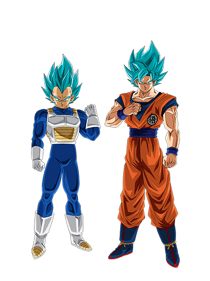 Super Saiyan God SS Goku & 
Super Saiyan God SS Vegeta