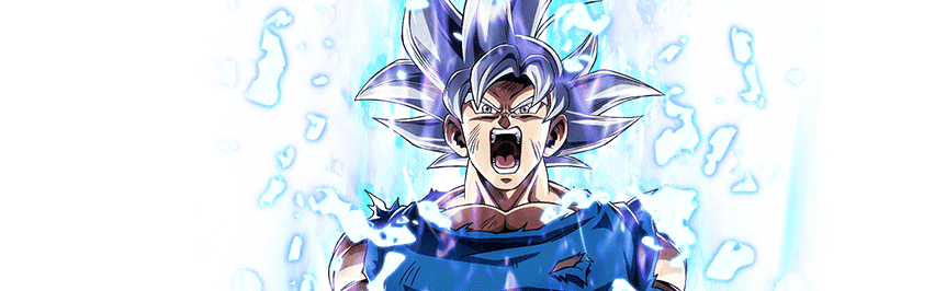 Goku (Ultra Instinct -Sign-) +
Super Saiyan God SS Evolved Vegeta