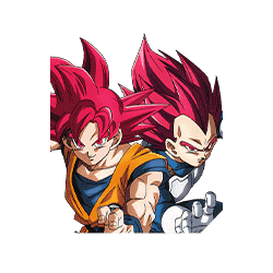 Super Saiyan God Goku & 
Super Saiyan God Vegeta