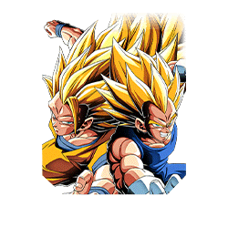 Super Saiyan 3 Goku & Super Saiyan 2 Vegeta