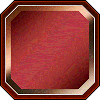 Training Item Thumbnail Frame