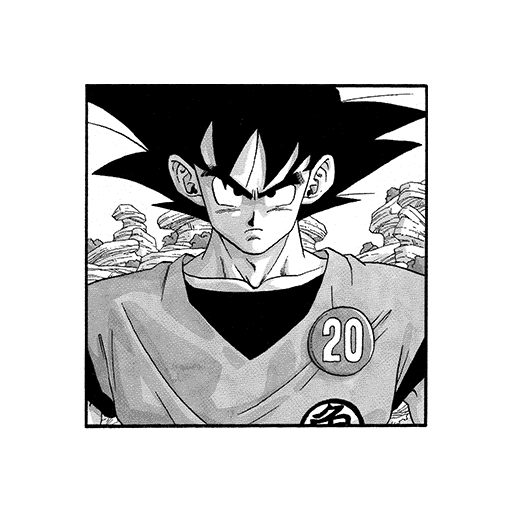 Volume 20 Title Page Illustration